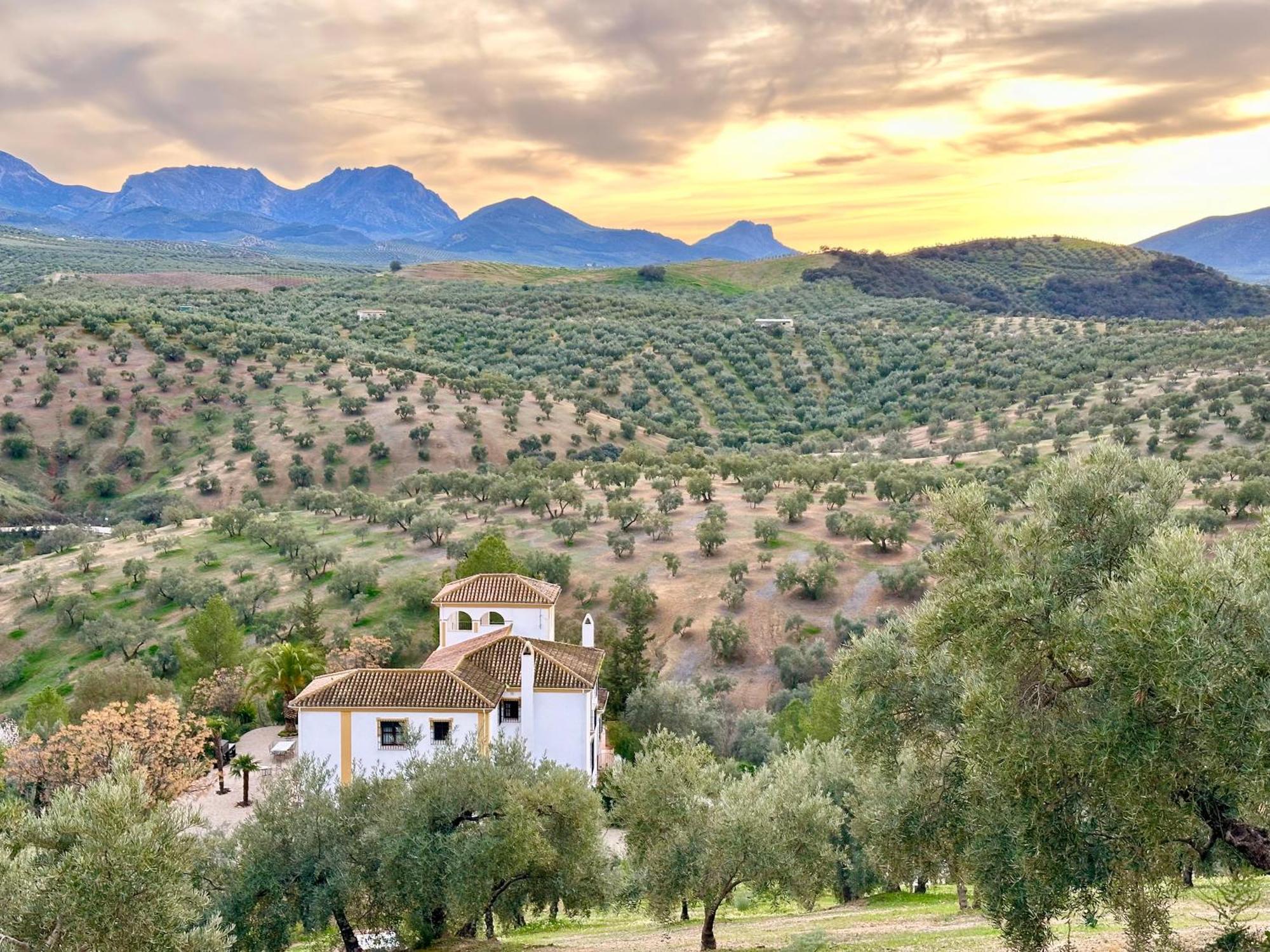 מלון Priego de Córdoba Hacienda El Tarajal מראה חיצוני תמונה